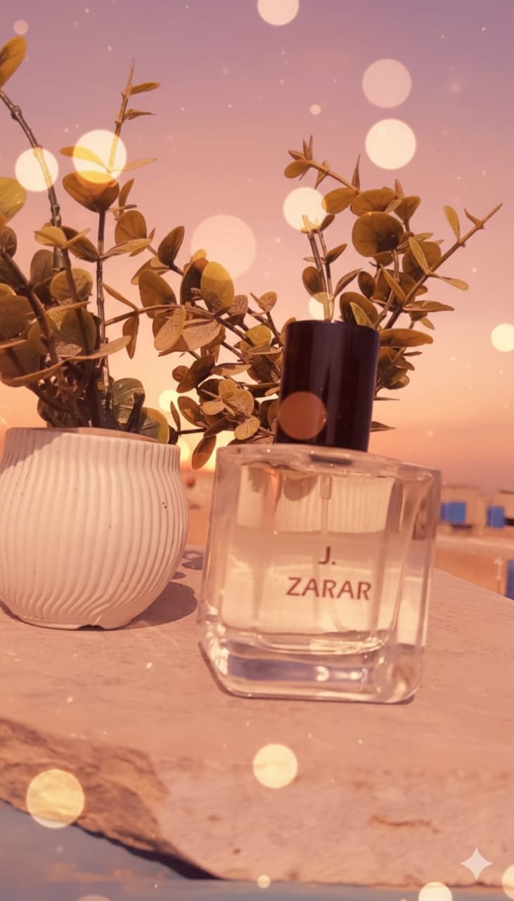 WhatsApp Image 2025-11-18 at 8.33