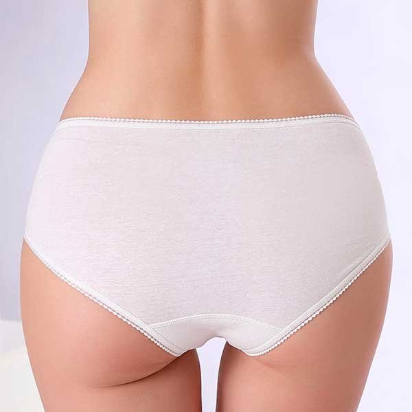 flourish-maxi-brief-fl-550-2 (1)